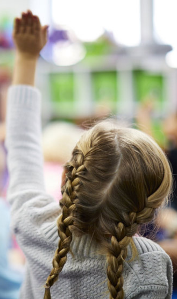 Chandler Woods student raises her hand in class