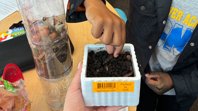 K-8 School in Livonia: Grand River Academy student looks at bugs during science class.