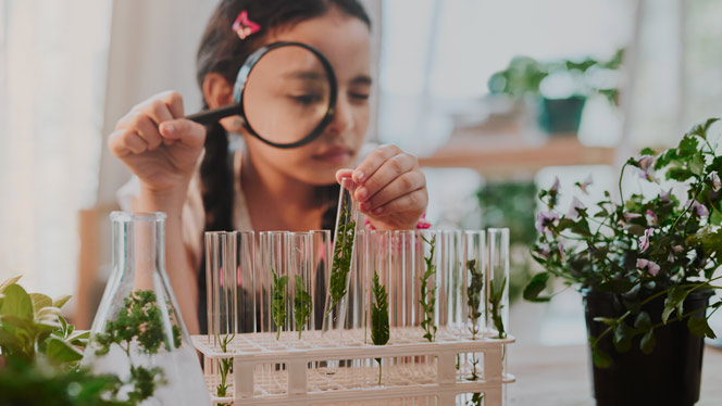 Girl looking through magnifying glass at plants in a test tube.