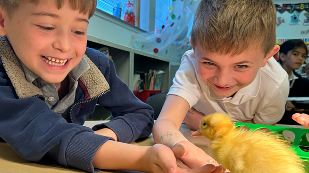 Two students petting a chick