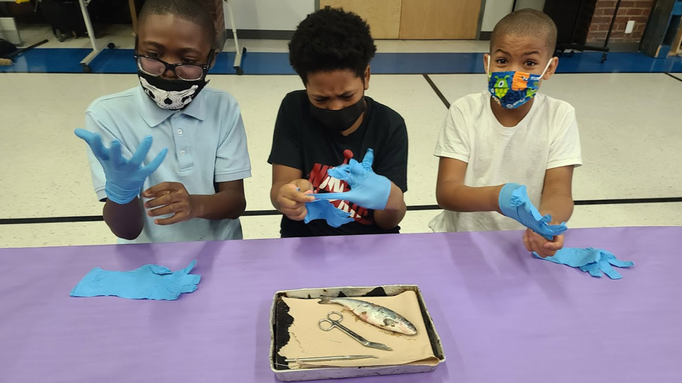 Regent Park Scholars Take Handson Learning Approach to Science