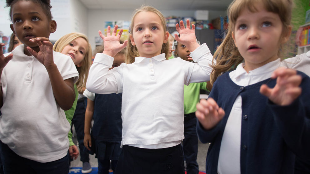Student raising hand in class