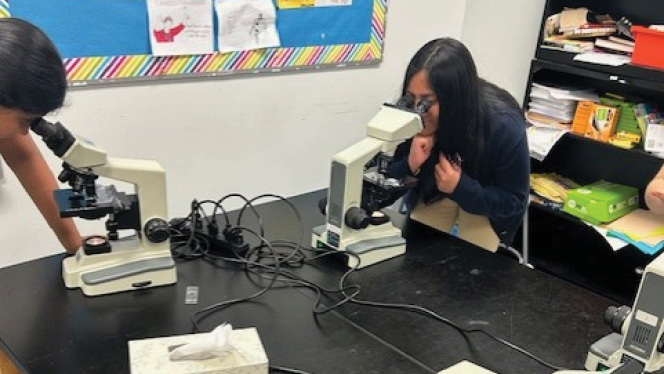 Student looking into microscope