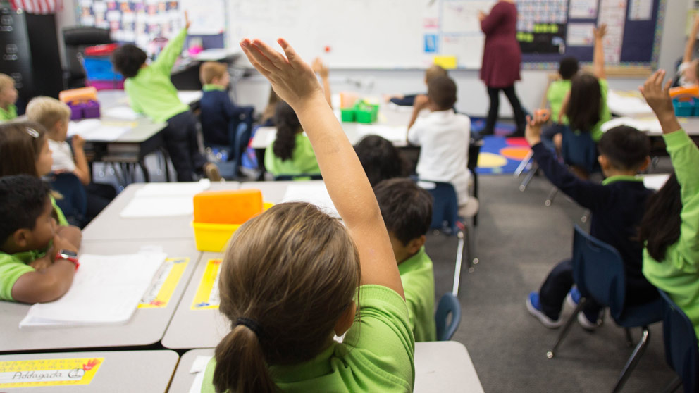 Student raising hand in class